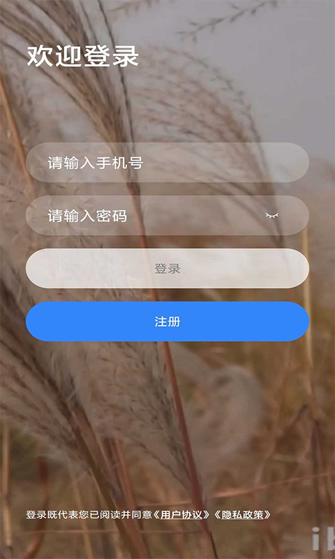 乐学网课