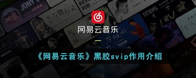 网易云黑胶svip有啥用(网易云音乐黑胶svip作用介绍)