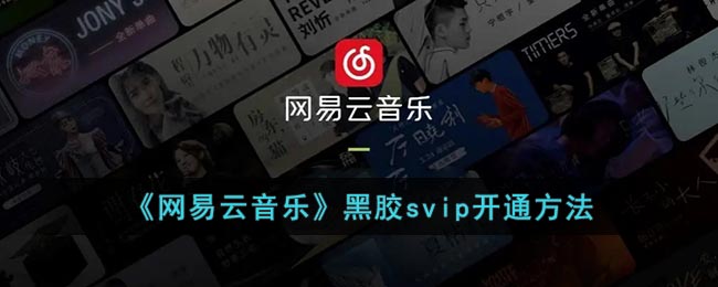 网易云svip怎么开(网易云音乐黑胶svip开通方法)