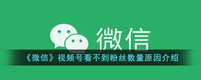 微信视频号看不到粉丝数量怎么回事(微信视频号看不到粉丝数量原因介绍)