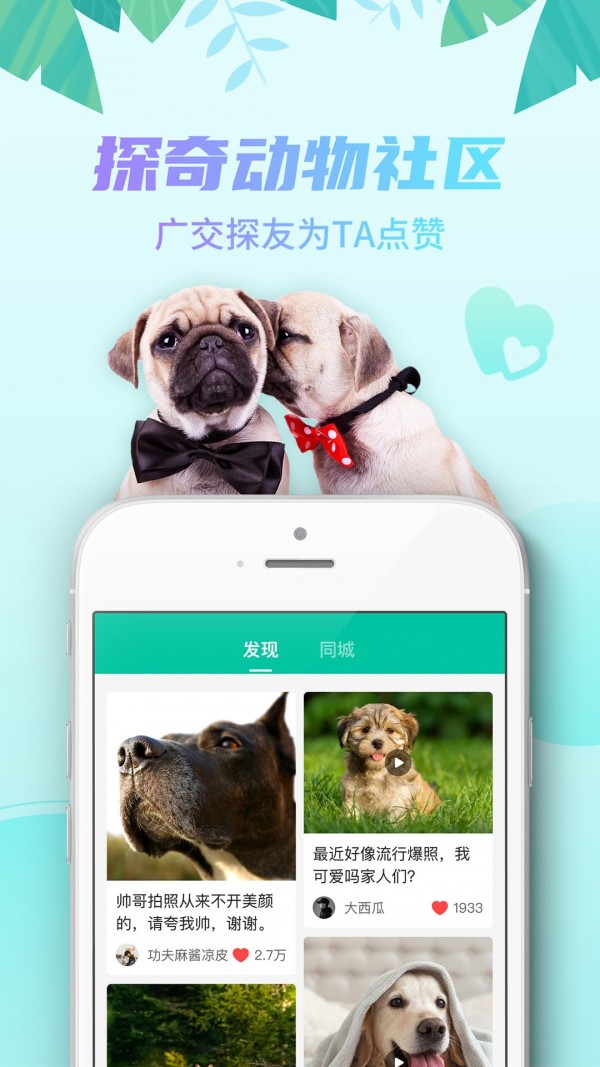 探奇动物界app最新版