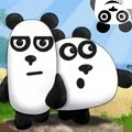 三只熊猫中文版
